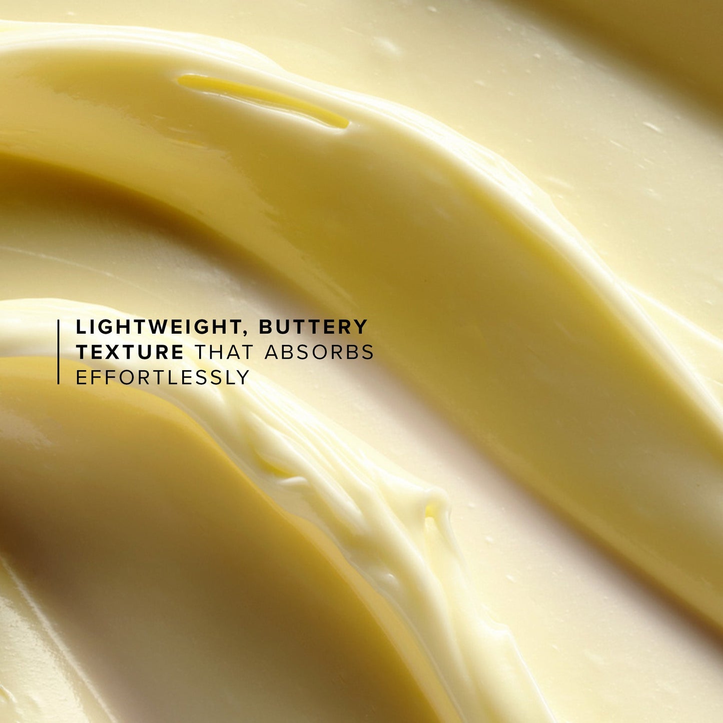 Honey Halo Ultra-Hydrating Ceramide Moisturizer Jumbo