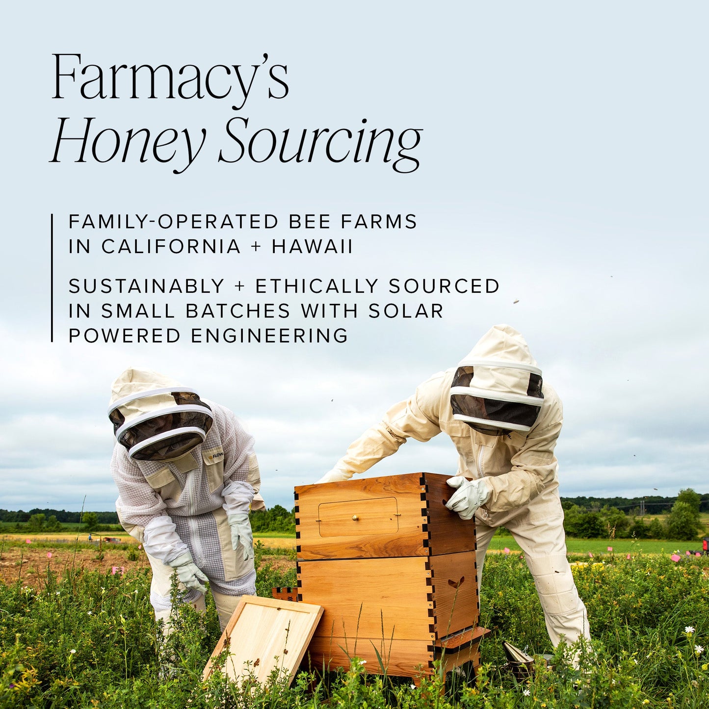 Honey Halo Ultra-Hydrating Ceramide Moisturizer Jumbo